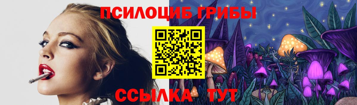 Галлюциногенные грибы прущие грибы  Вход с VPN  Краснознаменск 